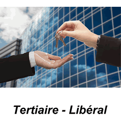 Tertiaire et Libéral - Administrateur de biens